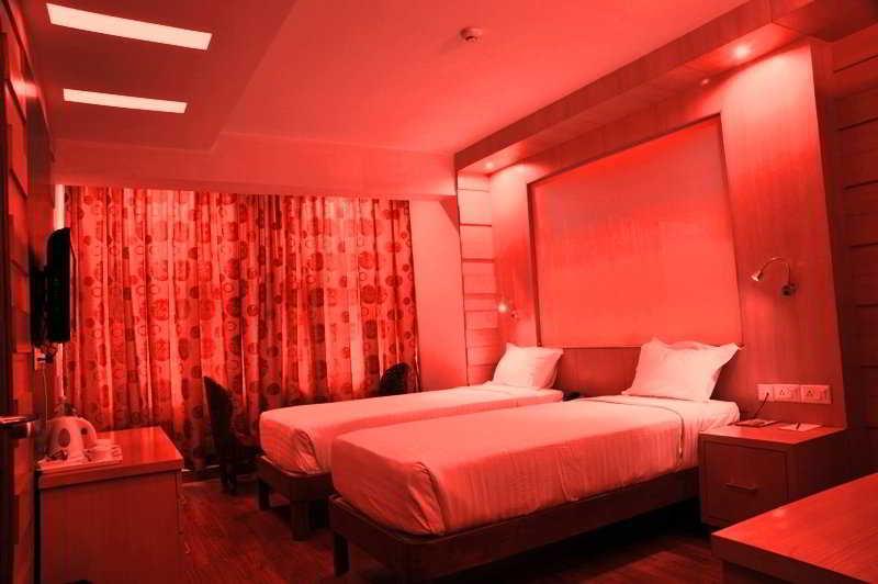 Hotel Emarald, New Delhi Rum bild